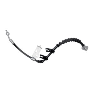 Ford F-150 Brake Hose - Front - R1 Concepts - `21-`25 Ford F-150 Brake Hose - Front - R1 Concepts - `21-`25